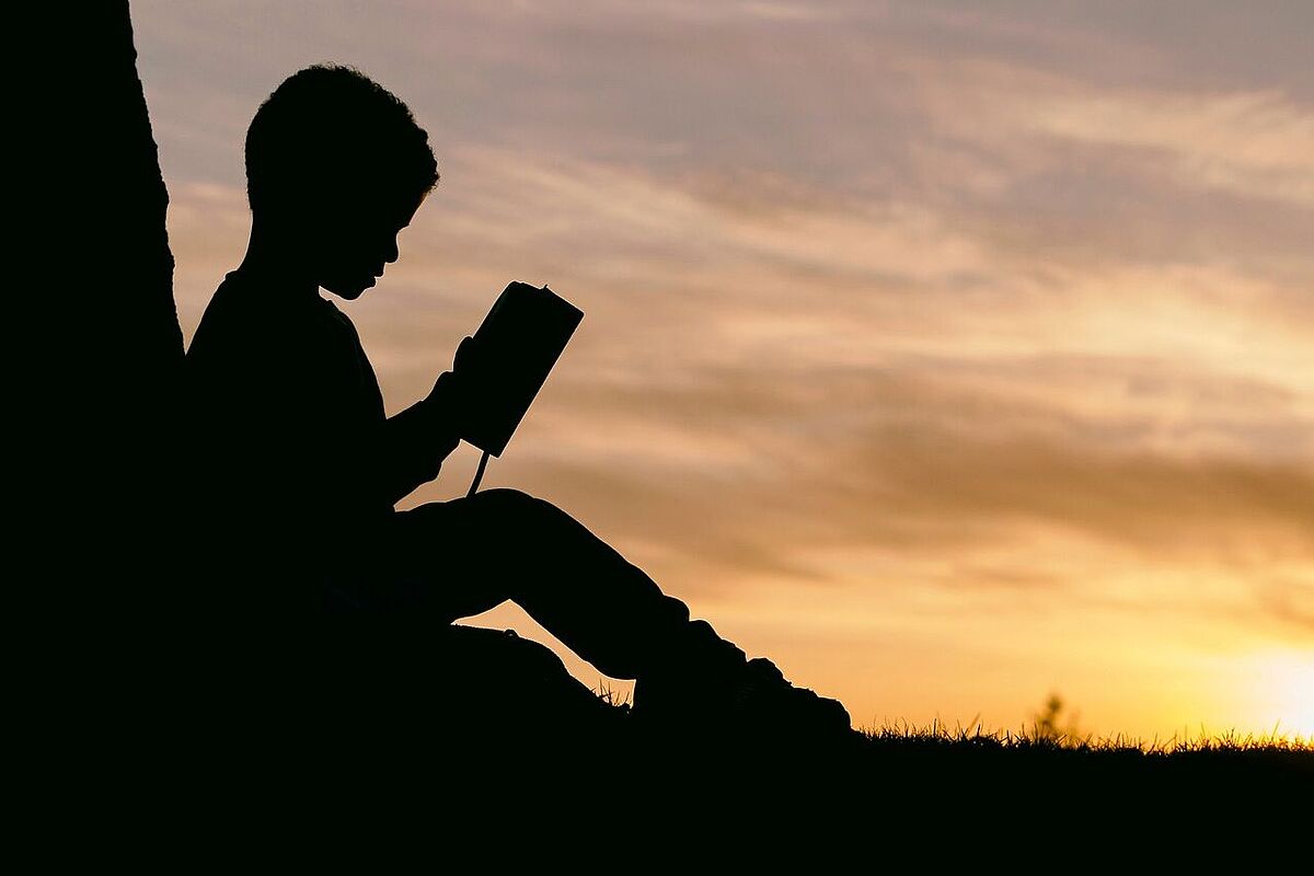 Reading Programme 2024-2026 [de]