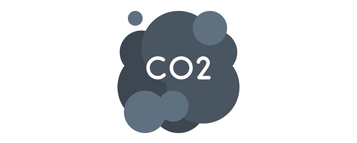Der Kohlenstoffkreislauf