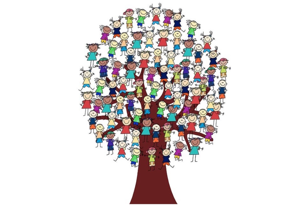 All in!? International School Systems and their Way to Inclusion